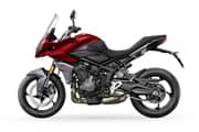 tiger-sport-660